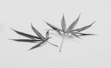 Детоксикация от наркотиков в Таловой